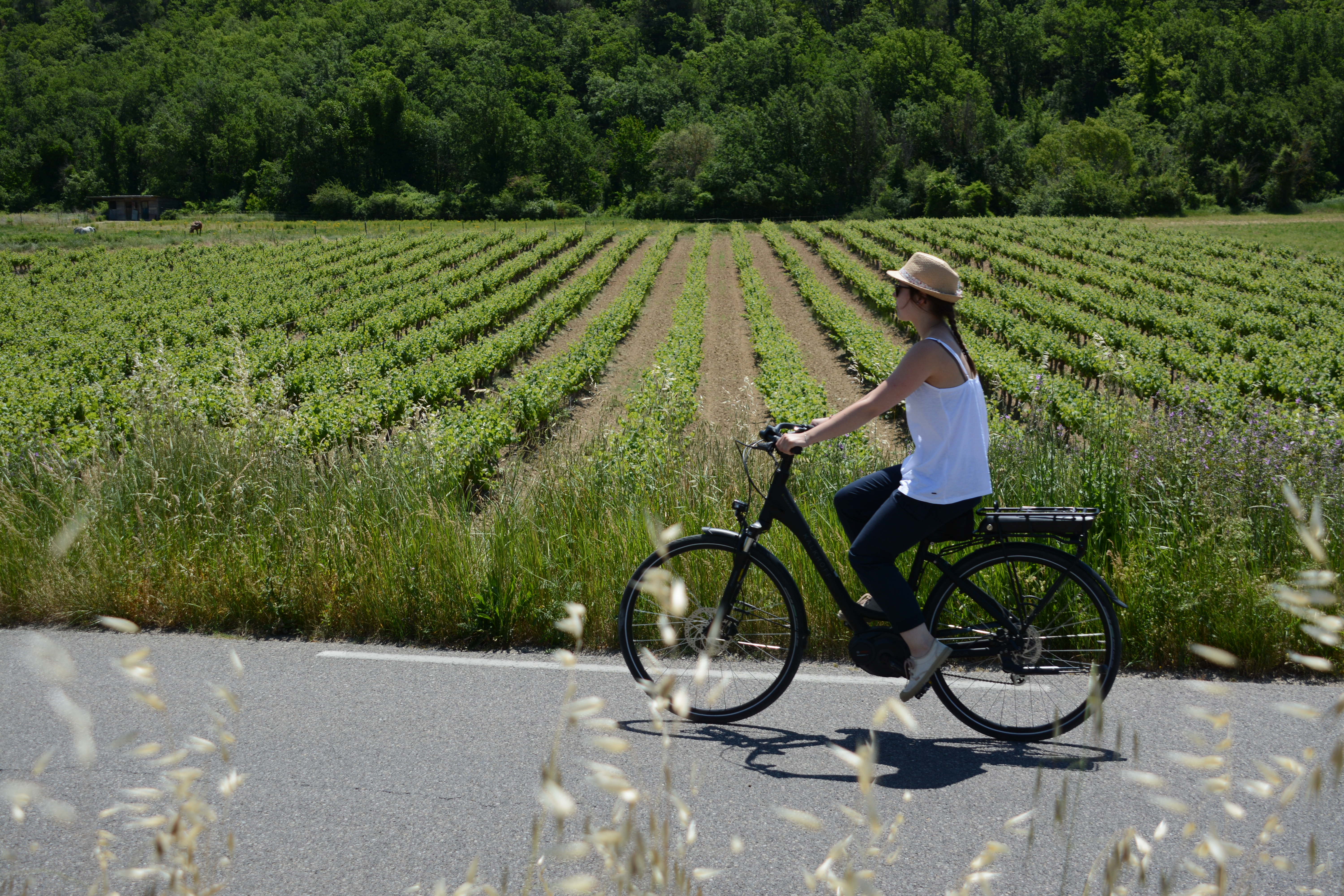 stations bees location velo electrique credit OT luberon